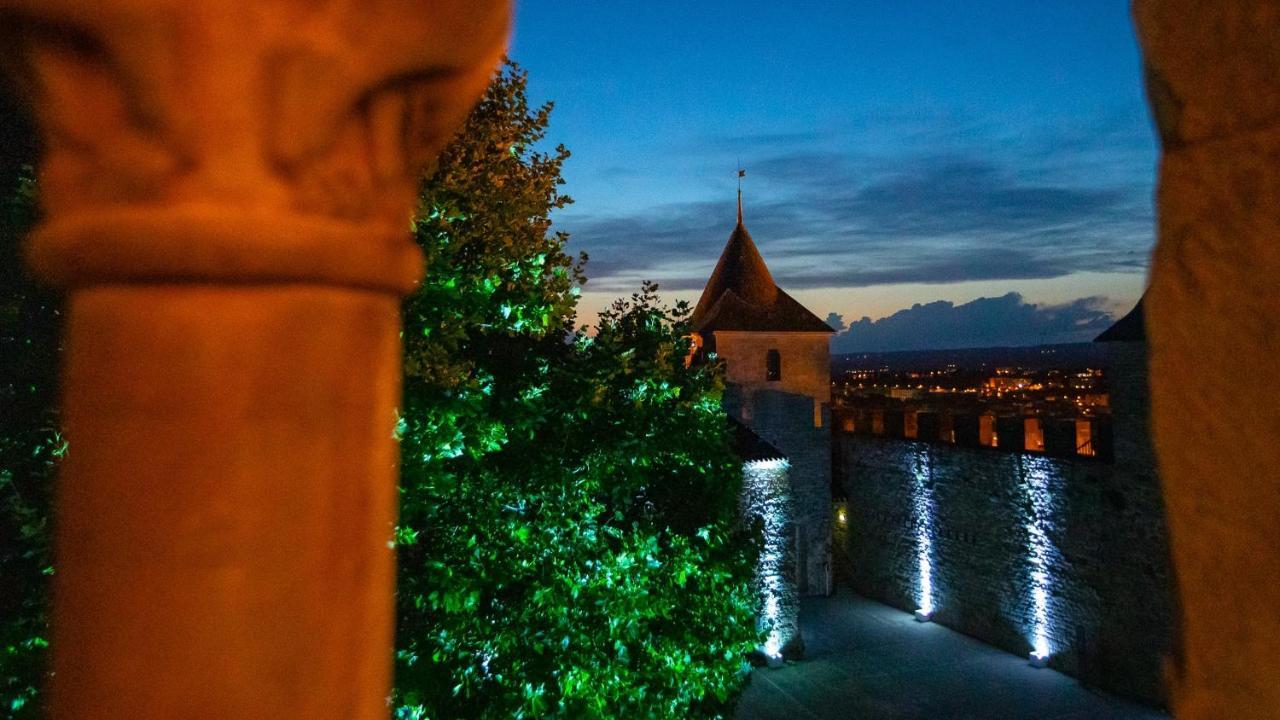 Tout Confort ! Calme, Climatisation, Piscine, Parking Gratuit, Grande Terrasse, Netflix, Wifi Carcassonne Exterior foto